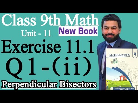 Question 1(ii)