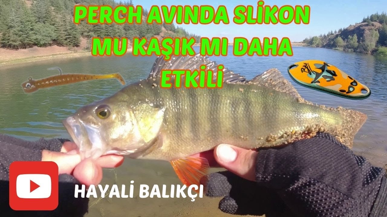 PERCH AVINDA SLİKON YEM Mİ KAŞIK SAHTELER Mİ DAHA ETKİLİ!!!