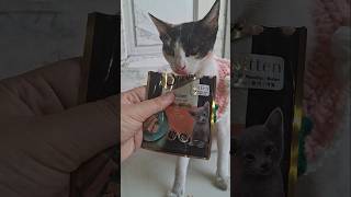 kimi tries sheba chicken premium loaf wet food part 2