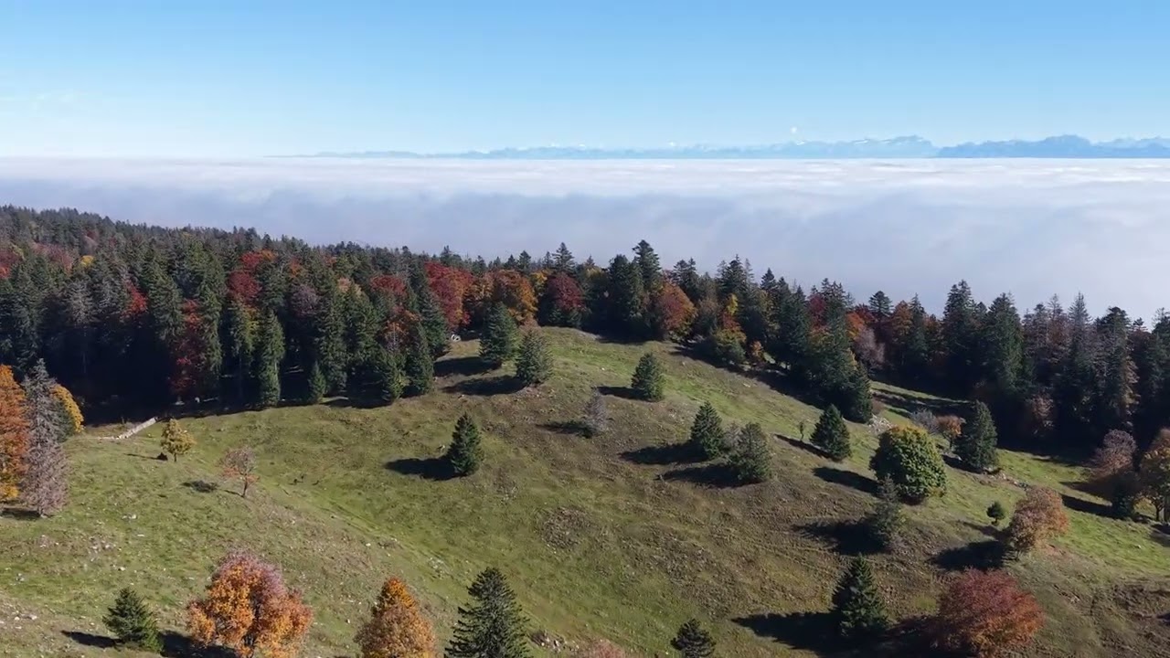 Le Jura vaudois en octobre 2025