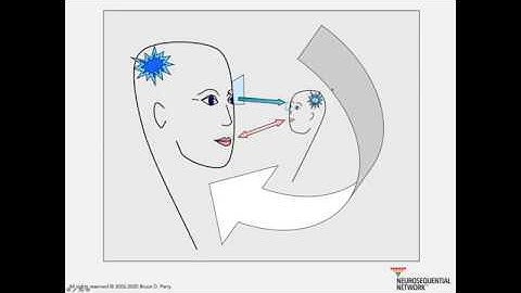 10. Reward Systems & Maladaptive Regulation: Neurosequential Network Stress & Trauma Series 2020