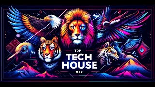 Musical Trip Top Tech House and House DJ Mix 2024 | DJ BR&NU