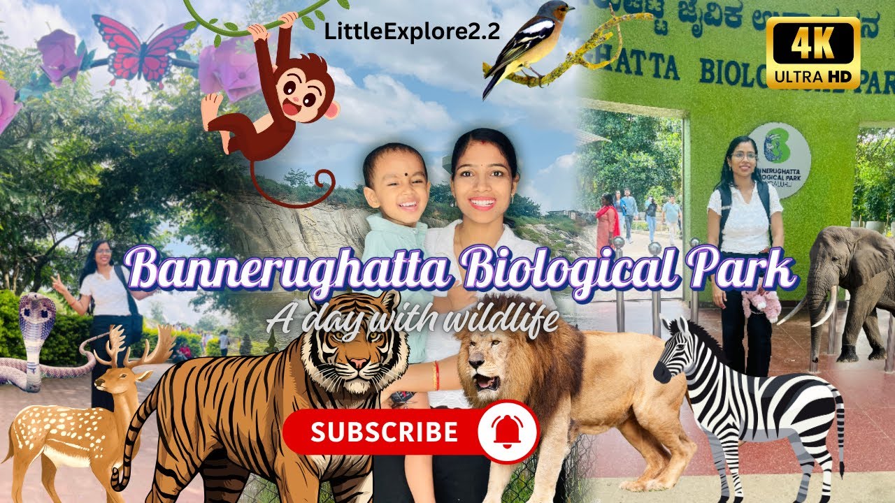 A Day At Bannerughatta Biological Park🦁Safari, Zoo & Butterfly Park | Odiavlog | Wildlife Adventure🐯