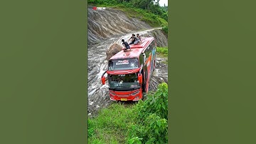 Elephant Pushes Bus Off Dangerous Cliff | Shocking Jungle Attack | AI-Generated