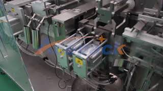 duplex zipper pouch packing machine from Shanghai Acepack