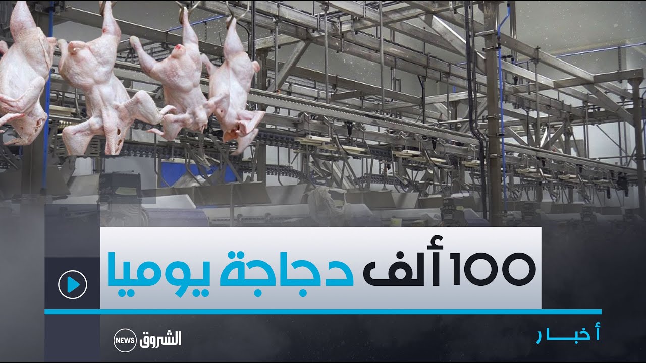 وزيـر الصناعـة يقـف علـى أكبـر مركـب لإنتـاج #اللحـــوم_البيضــــاء بـ #بسكــرة