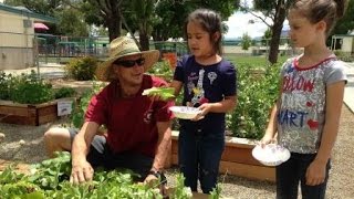 Partnership in Healthy Eating
