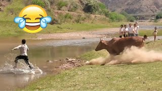 TRY NOT TO LAUGH😂Collection of funny situations😂😂😂PART 47