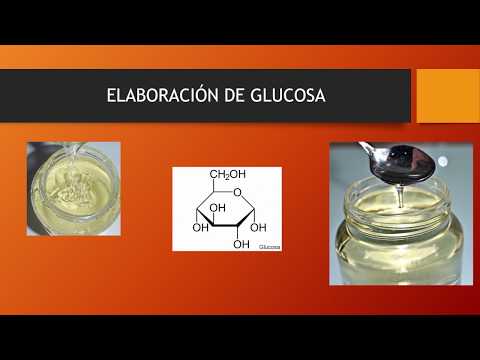Video: Cómo Obtener Glucosa Del Almidón