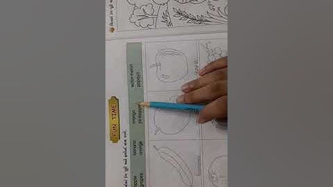 Std-3 English Primer (Part-3) 2. FRUITS