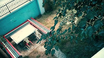 Prolochrome 4400 Test