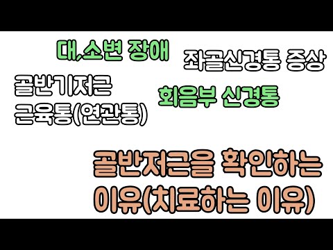 골반 통증, 대소변 장애, 좌골신경증상 치료를 해도 그때 뿐이라면, 확인해주세요. 신경외과 전문의 남준록 원장