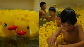 Watch Warm Bath In A Pool Full Of Rubber Ducks