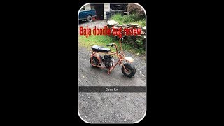 Baja doodle bug review