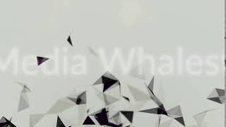 Details Abstract black cloud of triangles floating on white background, monochrome. Stock. Magnetizing News