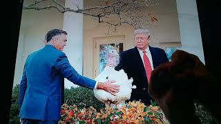 Horacio the handsnake - Butter the turkey