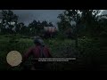 Лагерь налетчиков из Лемойна. RDR 2