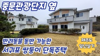 서귀포 중문관광단지옆 회수동 개별등기 쌍둥이 단독주택 2세대 각각 반려동물 가능한 일년살기 년세임대 또는 매매도 가능 #서귀포일년살기