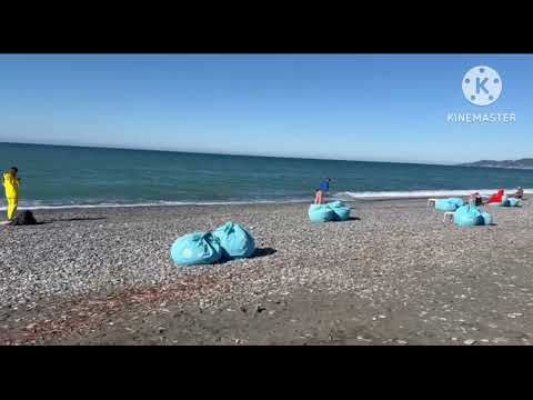 Обстановка на пляжах Сочи 🏖️#рекомендации #черноеморе #сочи #пляж #морезимой #погодасочи