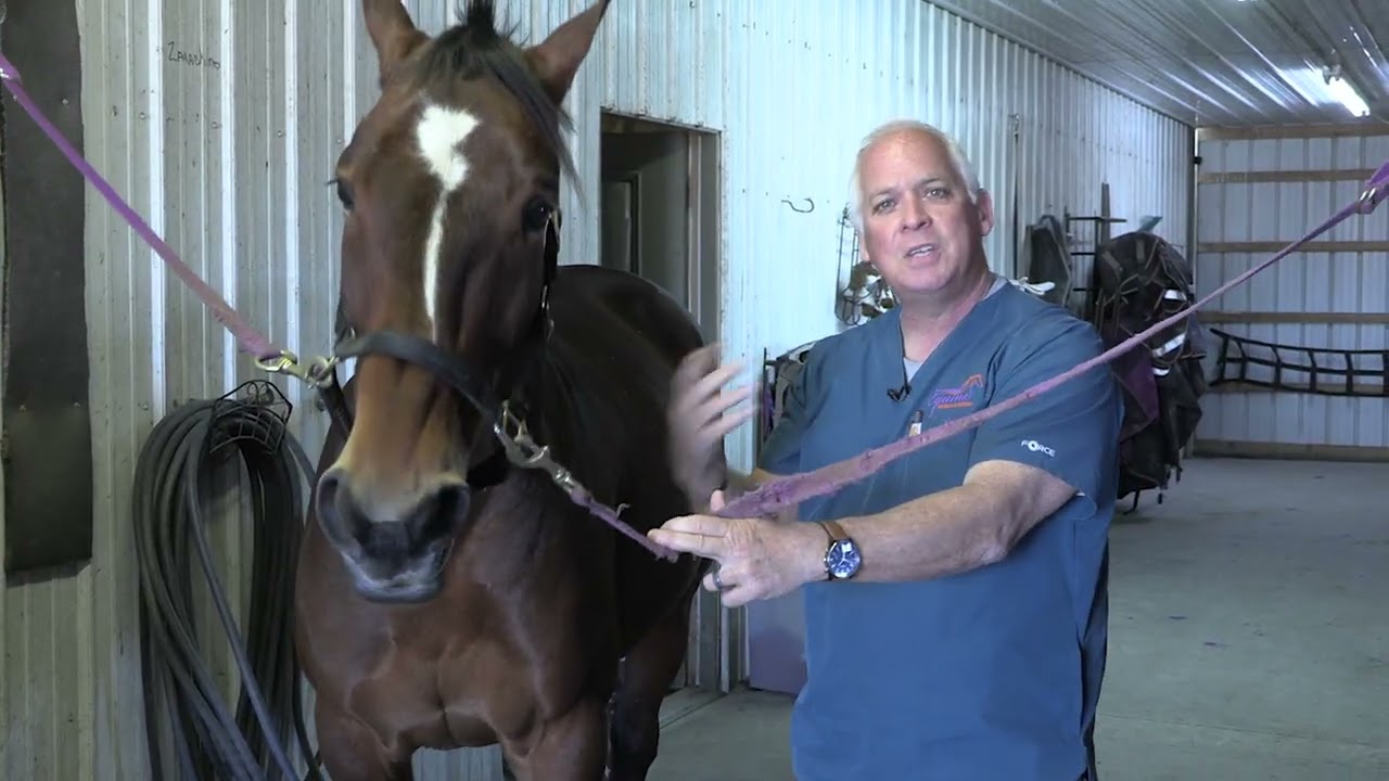 Dr. Baldt on Flexor Tendons (#1413 Jan 18, 2026)