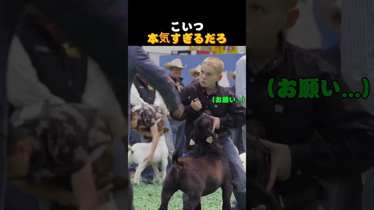 この少年ガチすぎる
