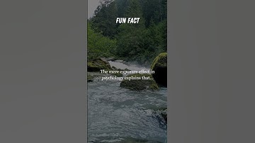 The Mere Exposure Effect: How Psychology Shapes Your Preferences #shortvideo