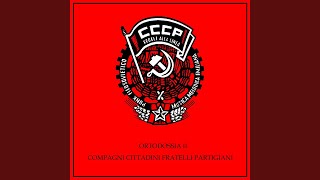 Video thumbnail of "CCCP Fedeli alla linea - Punk Islam"