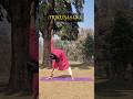 #shorts| Indian Yoga For Side Fat Reduce | Weight loss Yoga