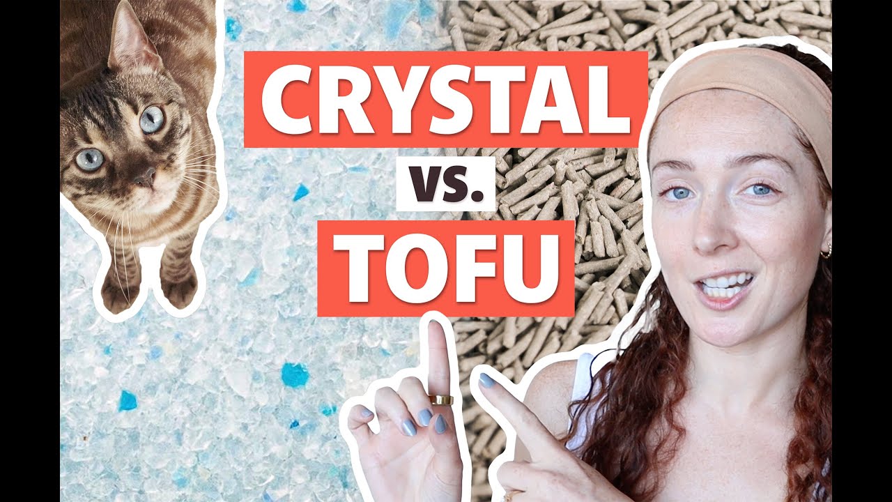 Tofu vs Crystal Cat Litter: The ULTIMATE Showdown