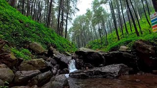 River Sounds for Sleeping | River Relaxation Meditation - Relaxing Calm River Sounds for Sleeping
