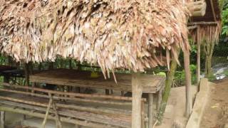 Cameron Highlands Rain Forest Inn