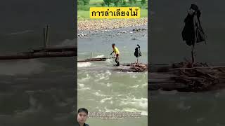 การลำเลียงไม้#automobile #work #shorts #remix #diy #viral #tractor #mechanic #youtubeshorts #งาน