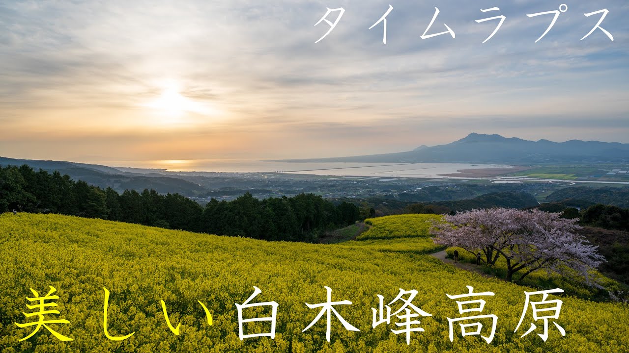file 014 美しい白木峰高原