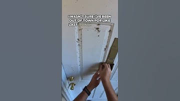 Tools: Covert Instruments – link in channel #locksmith #lockpicking #roadsideassistance #lockout