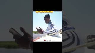 W Speed with the Bird 🐦😂 #WSpeed #Bird #WSpeedTrend #Shorts #Viral #Meme #Funny