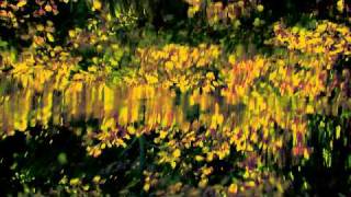 Los Juegos Del Agua. Carta A Nahia. 3,35 Min