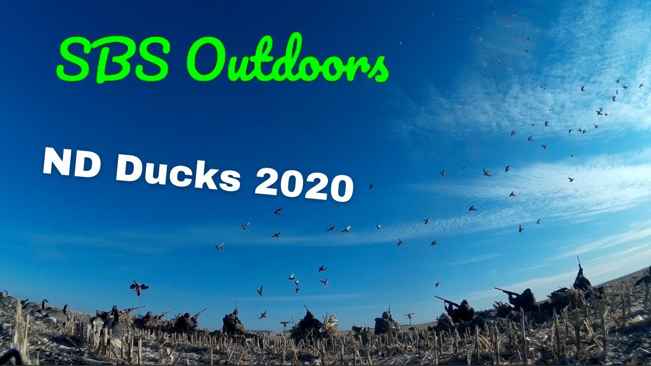 ND Duck Hunting 2020