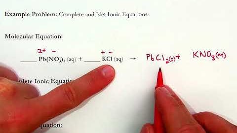 Complete and Net Ionic Equations Video