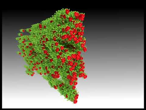 Runing Man-Flower - tyflow simulation