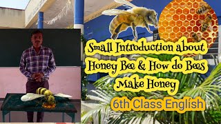 AR VR Video: Small Introduction about Honey Bee and How do bees make honey