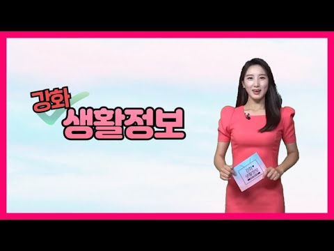 [강화생활정보] 어린이집 영어 특별활동 지원 외 2건