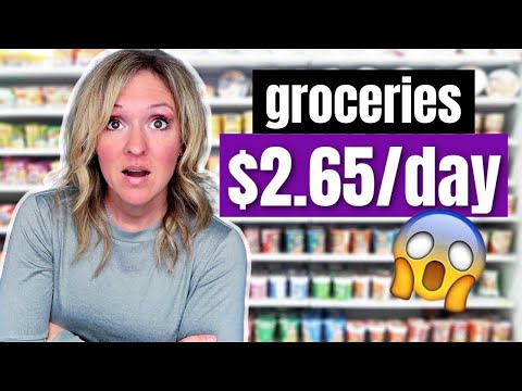 *REALISTIC* BUDGET GROCERY HAUL $110/WEEK // 2023 Feed a Family on a Budget