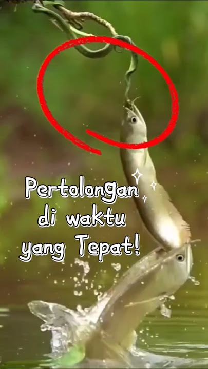 Almost Became Snake Food, But Suddenly A Miracle Happened! #fish #snake #predator #shorts
