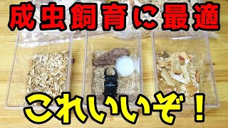 害虫が湧きづらい【天然素材】のクワガタムシ成虫管理&飼育マットを購入し比較してみた