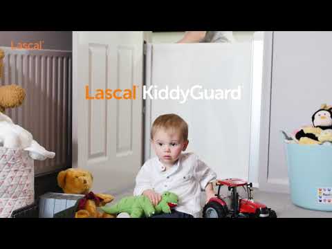 Video: Lascal Kiddyguard İncelemeyi Değerlendirin