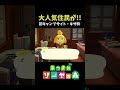 【あつ森】初キャンプサイトで大人気住民が…! #shorts
