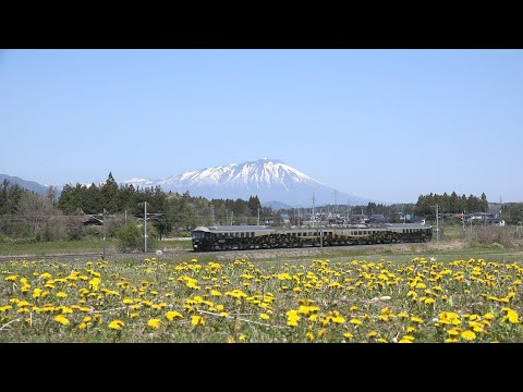 EC485系ジパング ー東北本線－