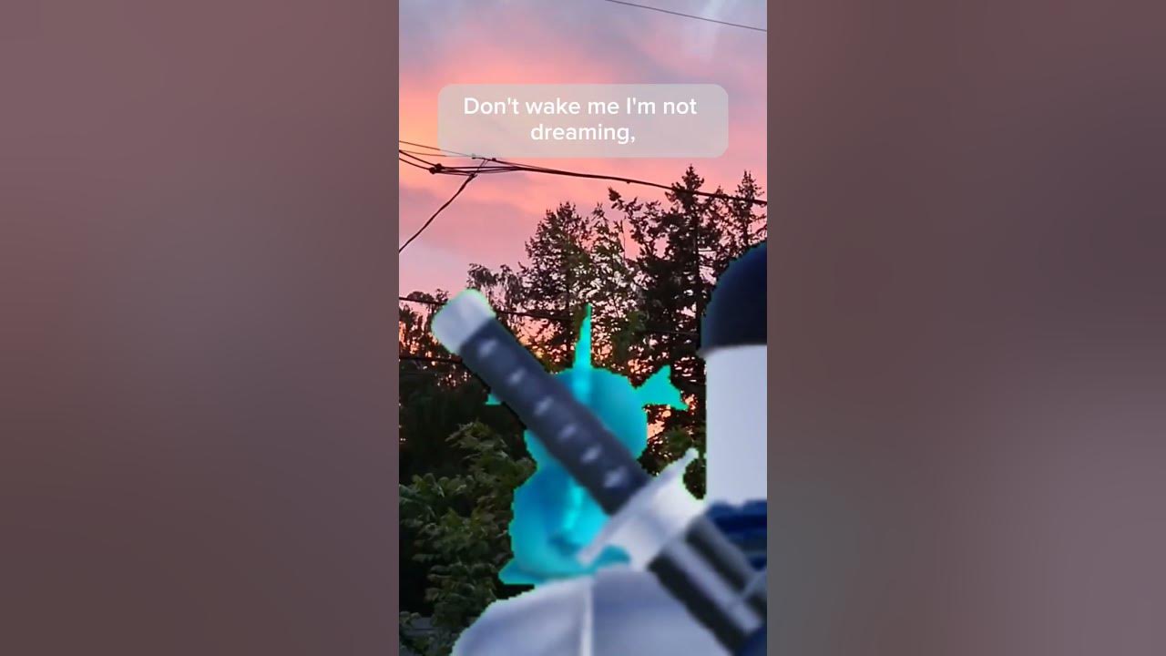 Past Lives Roblox IRL Edit roblox irl pastlife edit robloxedit 