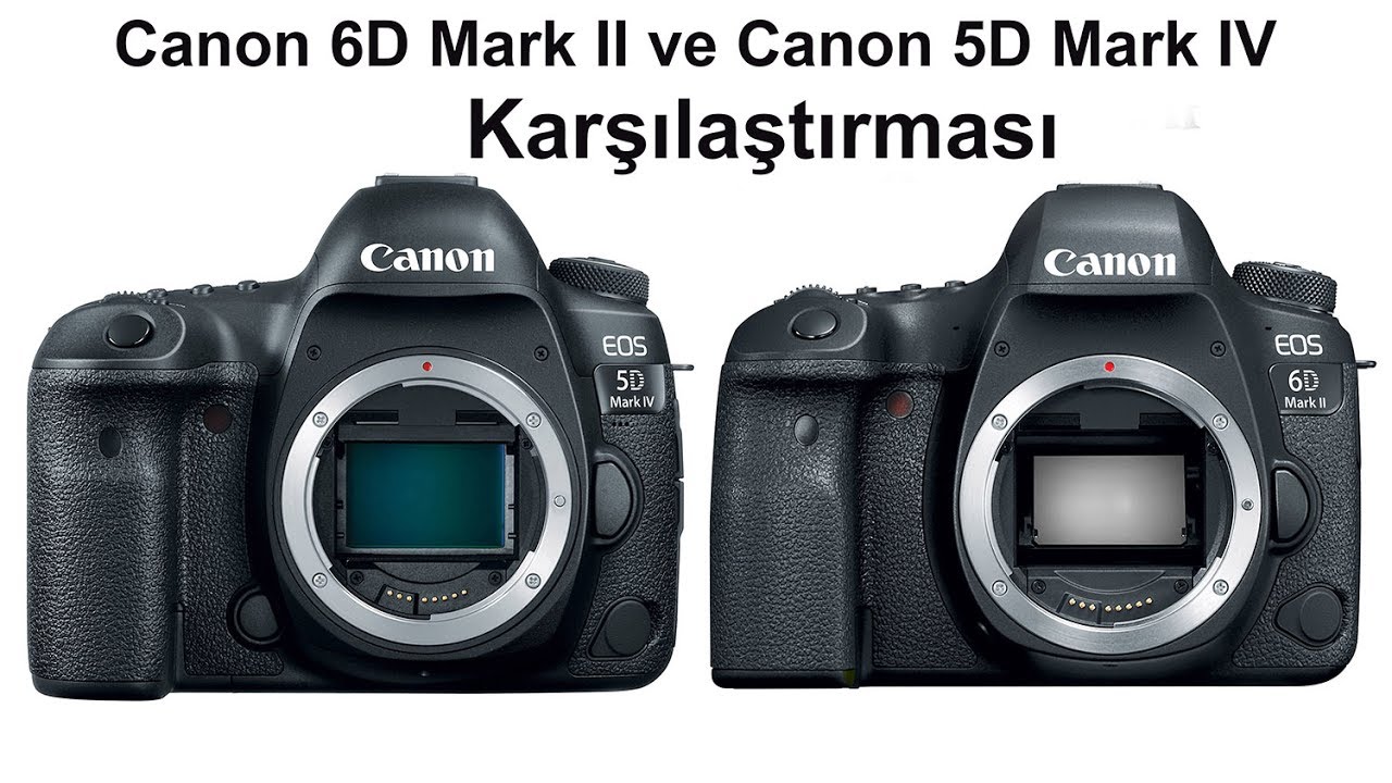 Canon 5d vs 5d mark