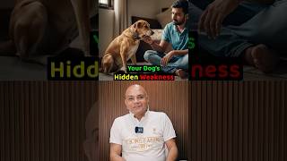 Your Dog’s 🦮 Hidden Weakness❓
